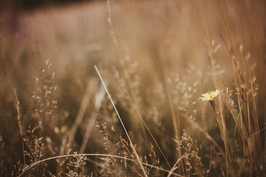 sussex wedding photographer