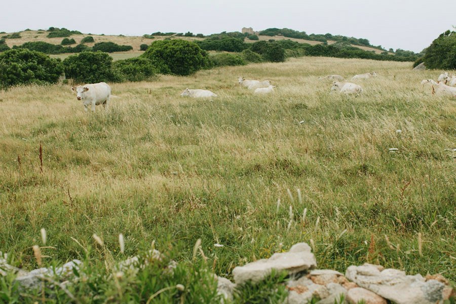 best 2015 sardinia wedding photographer