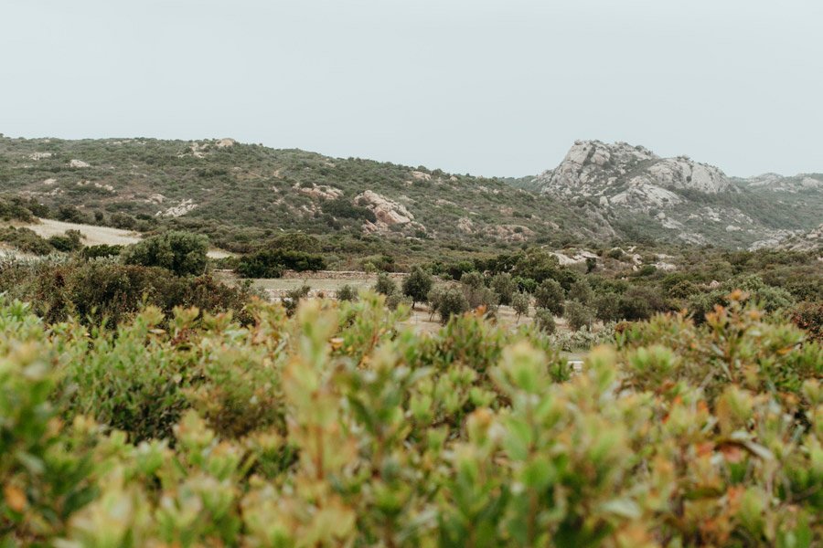 countryside sardinia wedding