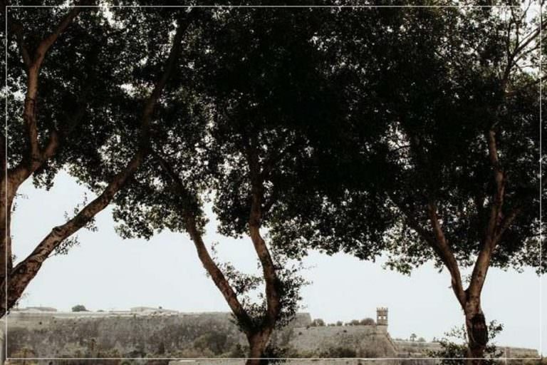 instagram project story | instagram wedding story | malta wedding photographer