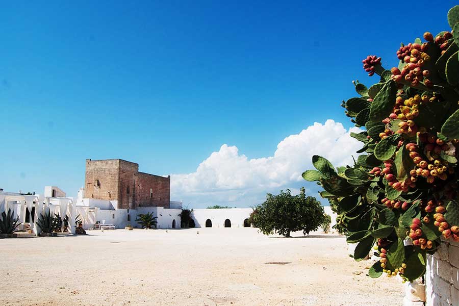 getting married in masseria potenti